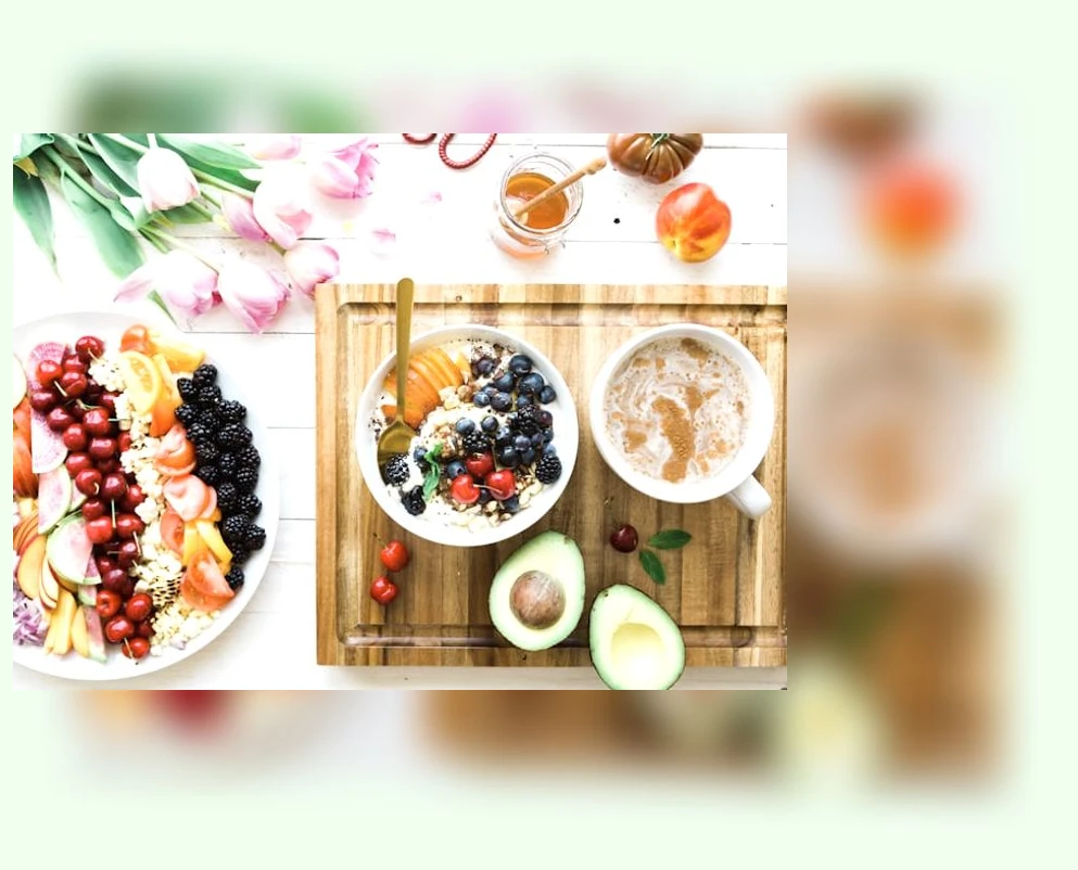 고양이 눈 건강_3_subsection