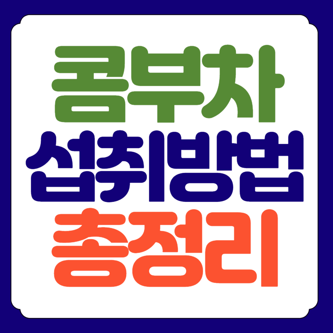 콤부차 섭취방법 총정리 한눈에 살펴보기