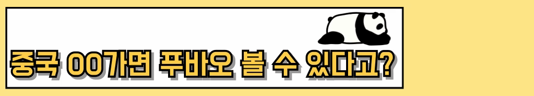 푸바오 반환 이유