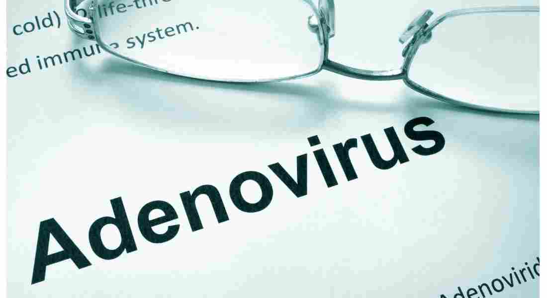 아데노바이러스