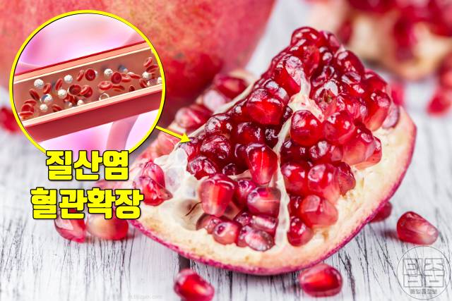 혈액순환 잘되는 음식 석류,천연 혈관확장제 추천