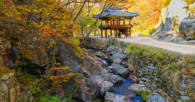 [단풍명소] 가을 여행지 베스트 50 - 서울, 경기도, 충남, 충북, 경북, 경남, 전남, 전북, 강원도, 제주