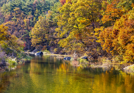 무주구름채풀빌라