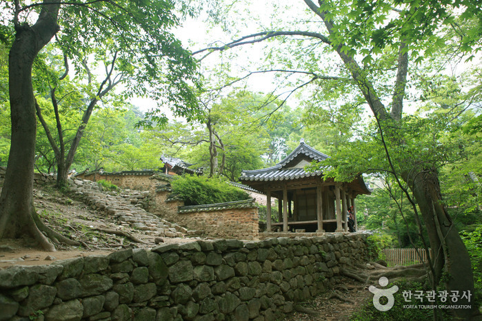 담양 가볼만한곳 베스트10