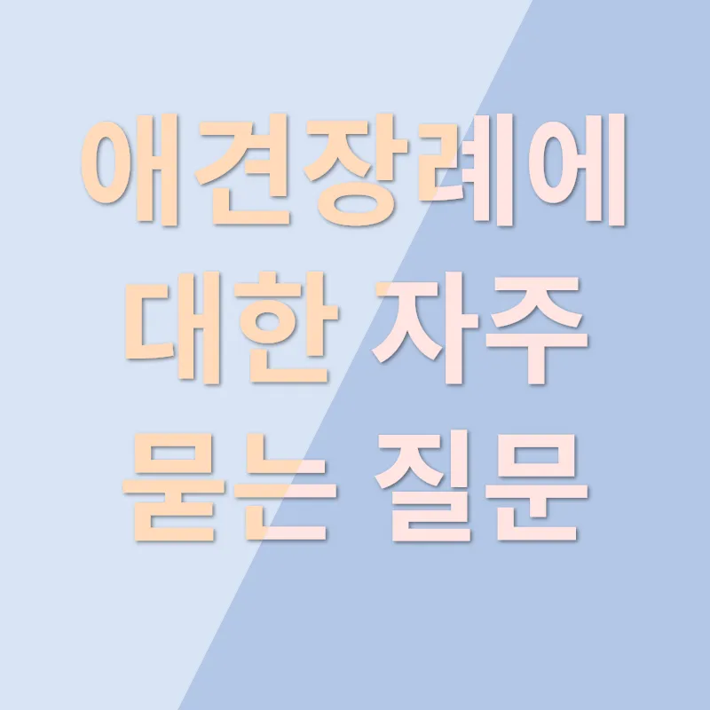 애견장례_4