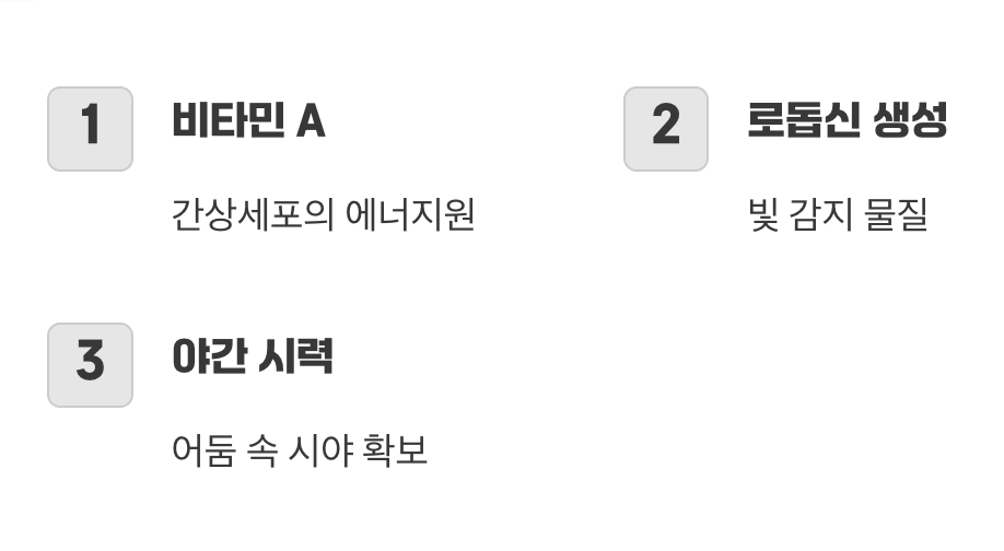 가장 중요한 연료, 비타민 A