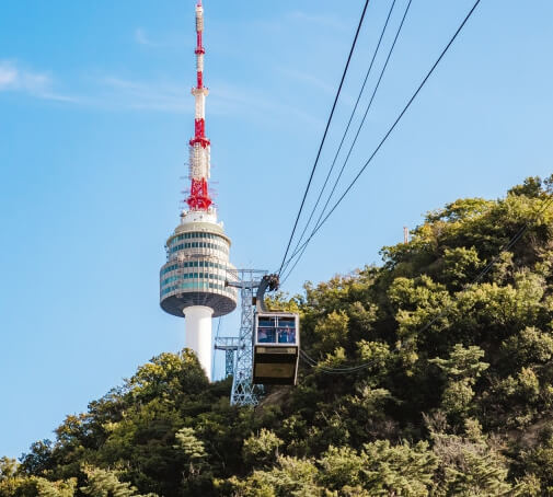 N서울타워 벚꽃축제 Blossom Tower