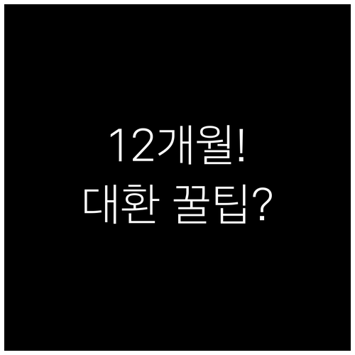 개인회생 인가 후 12개월 대환대출 ..