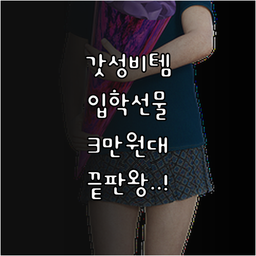 3만원대 초등학교 입학 선물 인기 품..