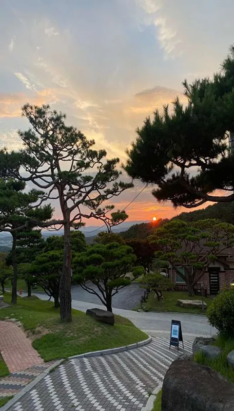 카페그리너리