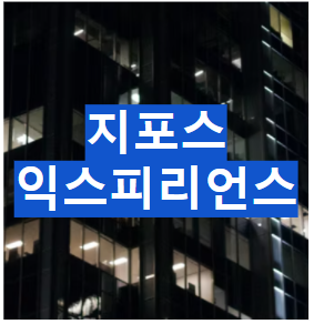 지포스 익스피리언스