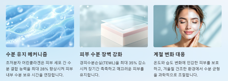 수분 보유력 증대