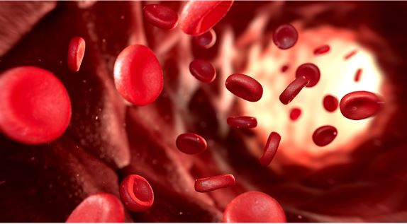 솔티스-혈당-후기