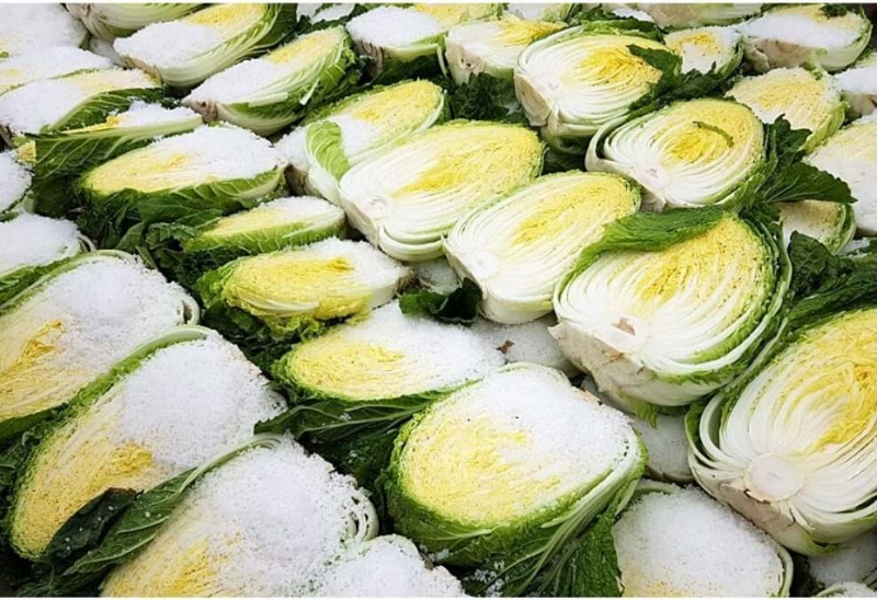 소금이-듬뿍-올라가있는-반으로-쪼개진-배추들