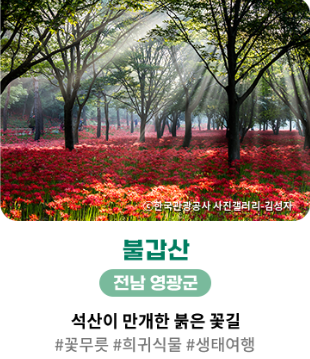 불갑산