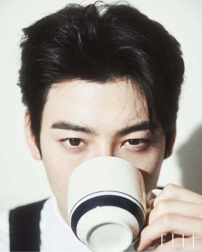 차은우 조세심판원 청구 승소 확률과 행정소송 3대 시나리오 정밀 예측, 낸 돈 130억 다시 돌려받을까?