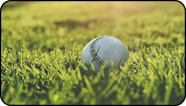 프리미어 12중계 시청하는 2가지 방법