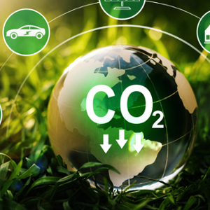 탄소중립 관련주 대장주 테마주 주식 TOP7