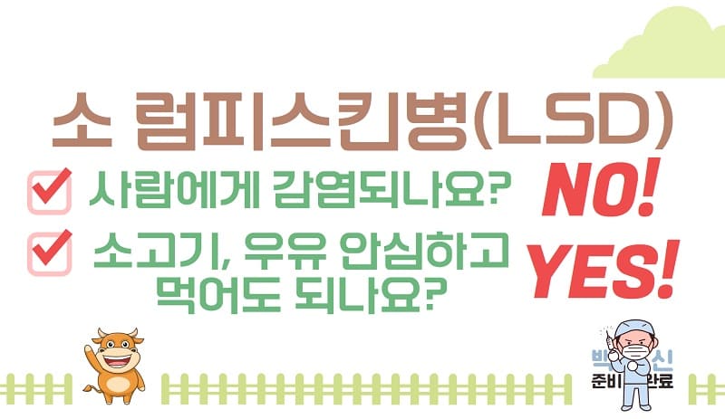 럼피스킨병 사람 감염 여부1