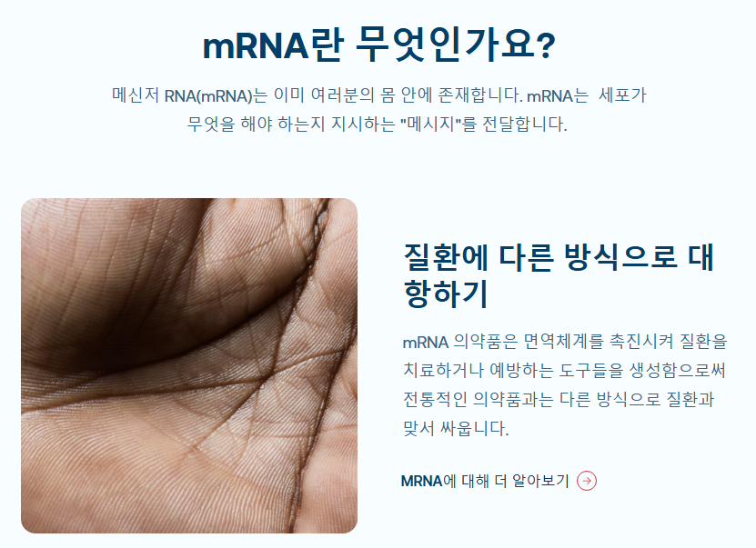 모더나