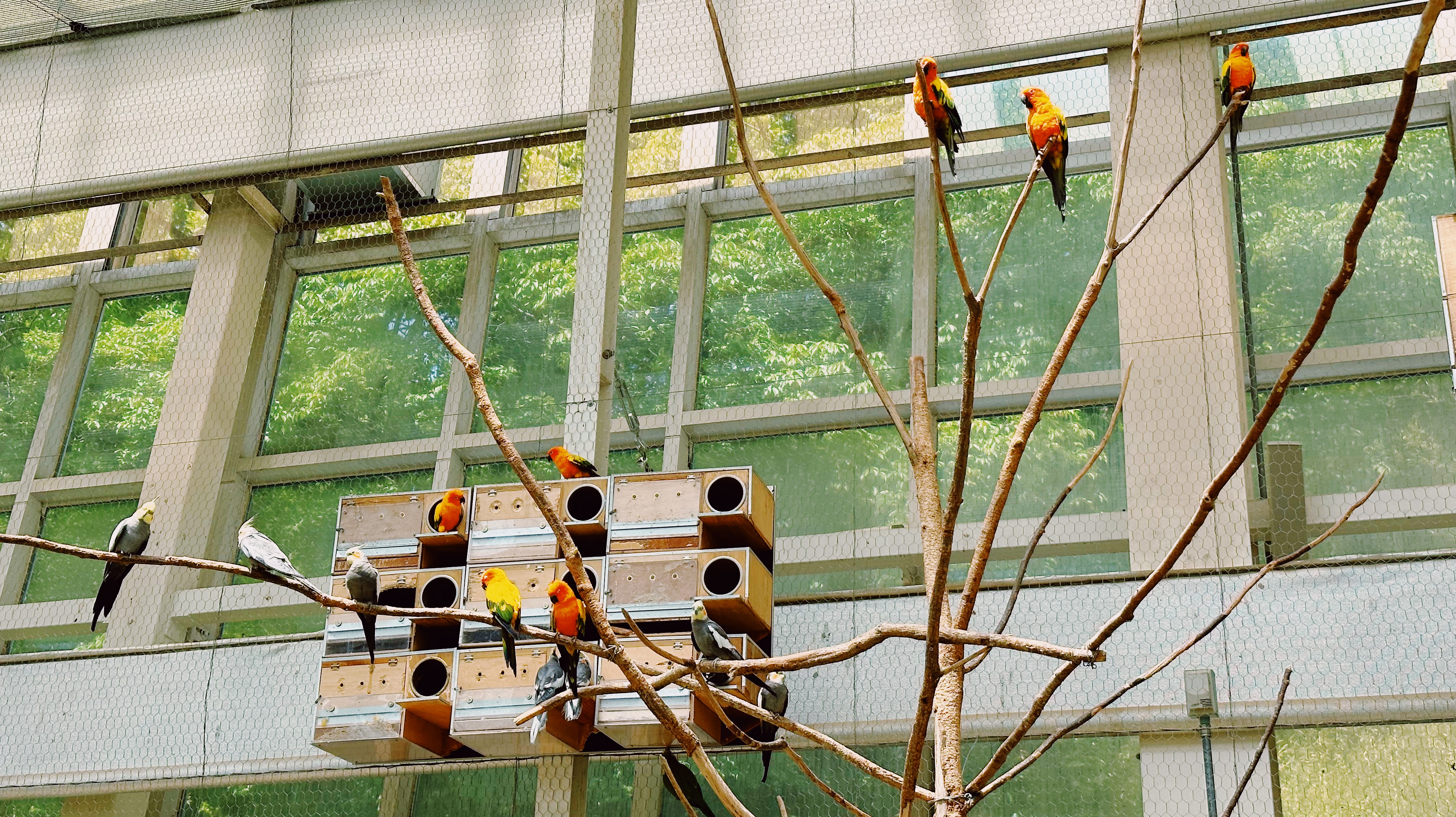 오월드 버드랜드