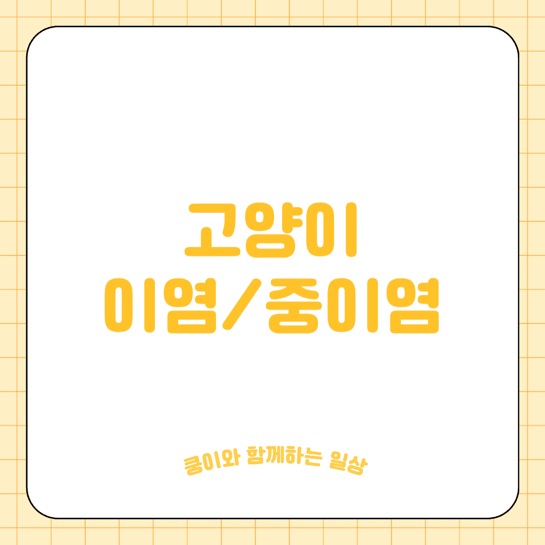 고양이 이염/중이염