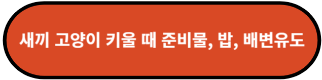 새끼 고양이 키울 때 준비물, 밥, 배변유도