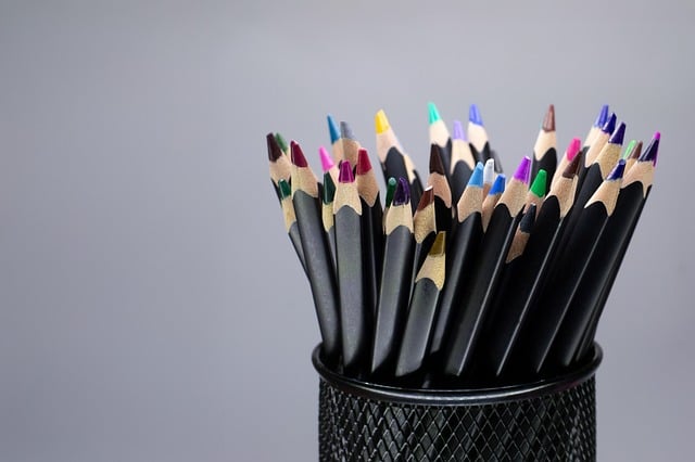 여러개의 색연필이 연필꽂이에 담겨있는 사진