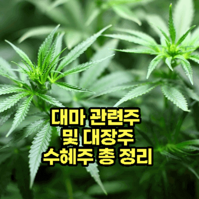 썸네일-사진