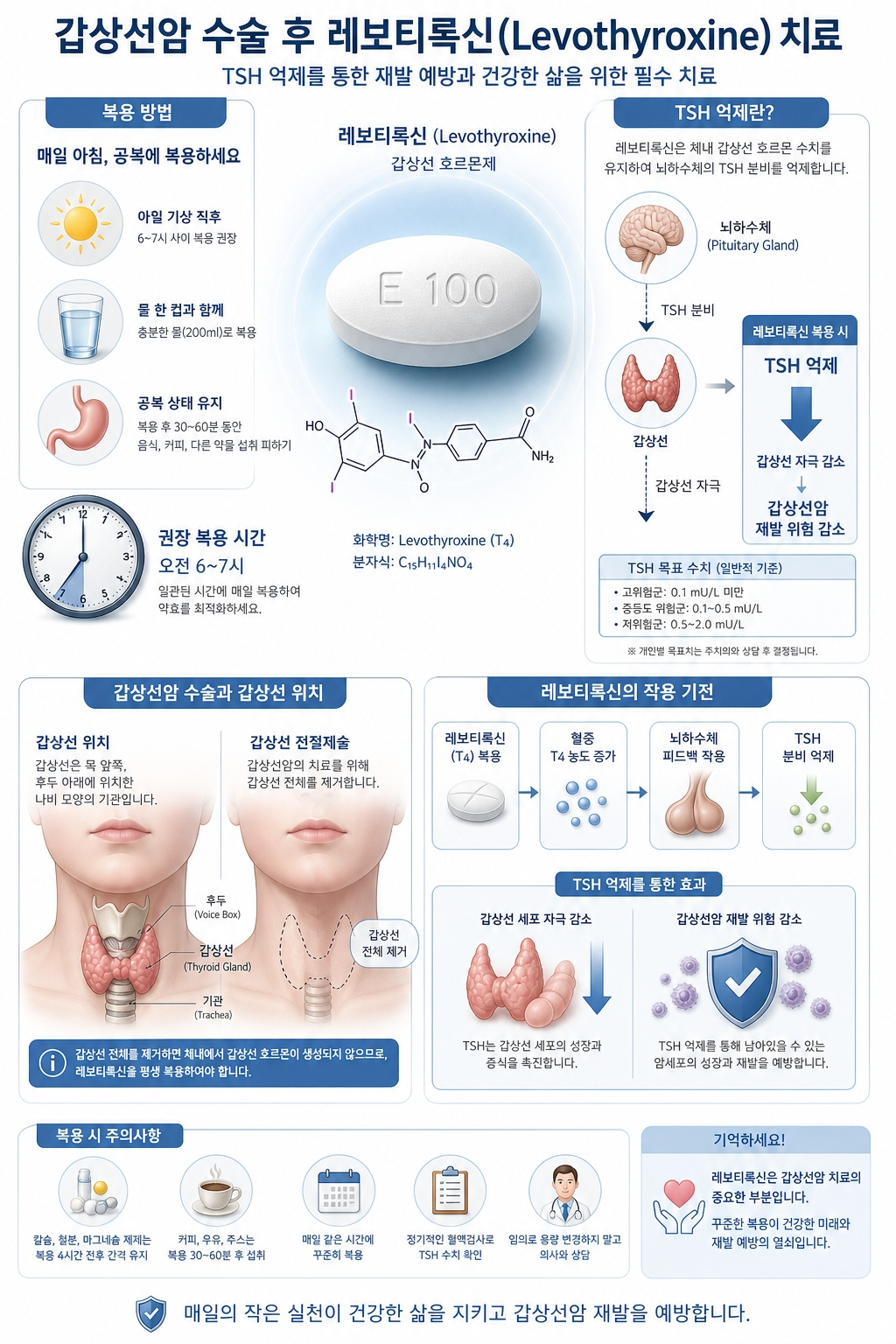 갑상선암 수술 후 레보티록신(Levothyroxine) 치료 교육 인포그래픽 — 매일 아침 공복 복용 방법(아침 기상 직후 오전 6~7시, 물 한 컵 200ml), TSH 억제 메커니즘(레보티록신 복용 후 혈중 T4 증가, 뇌하수체 피드백으로 TSH 분비 억제, 갑상선 자극 감소, 갑상선암 재발 위험 감소), TSH 목표 수치(고위험군 0.1 mU/L 미만, 중등도 0.1~0.5, 저위험군 0.5~2.0), 복용 시 주의사항(칼슘·철분·마그네슘 4시간 간격, 커피·우유·주스 30~60분 후 섭취) 등이 담긴 종합 치료 안내도