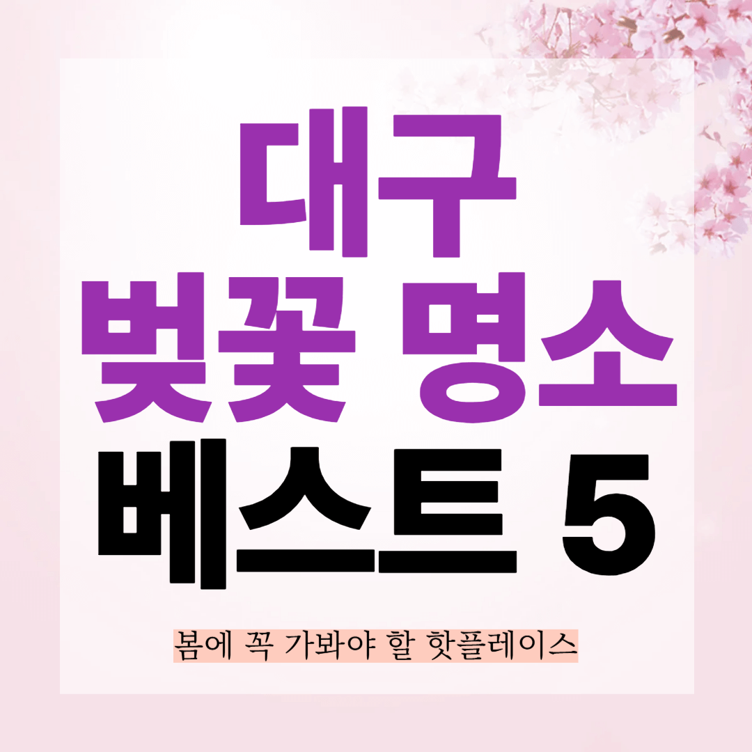 대구 벚꽃 명소