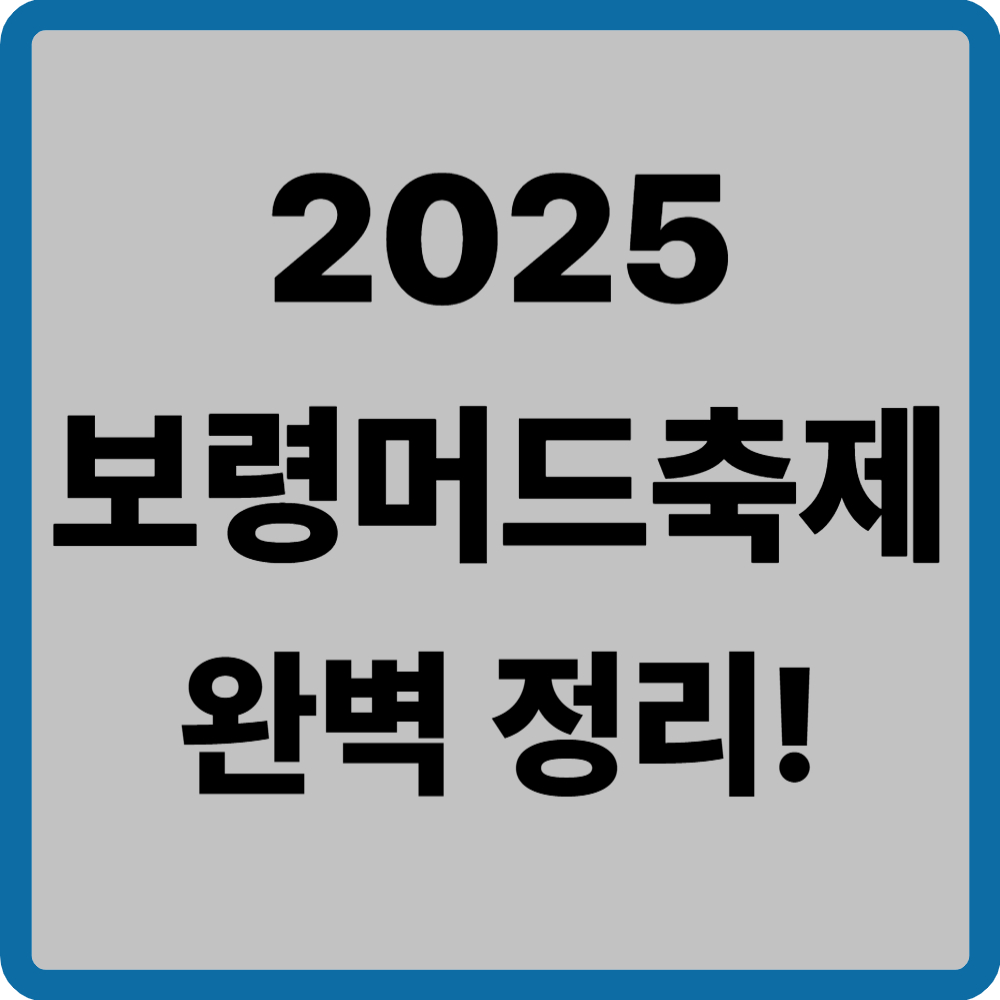 보령머드축제