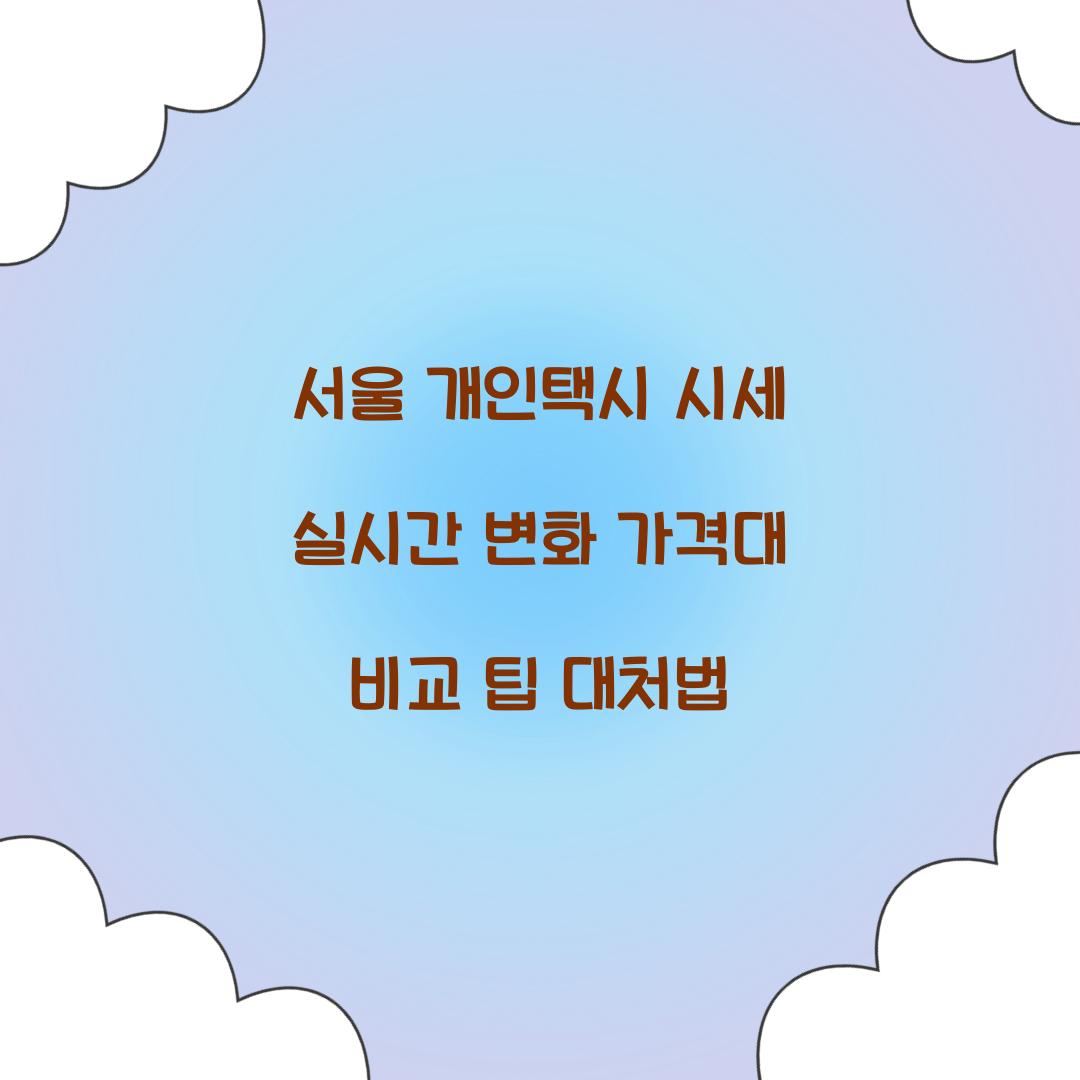 서울 개인택시 시세