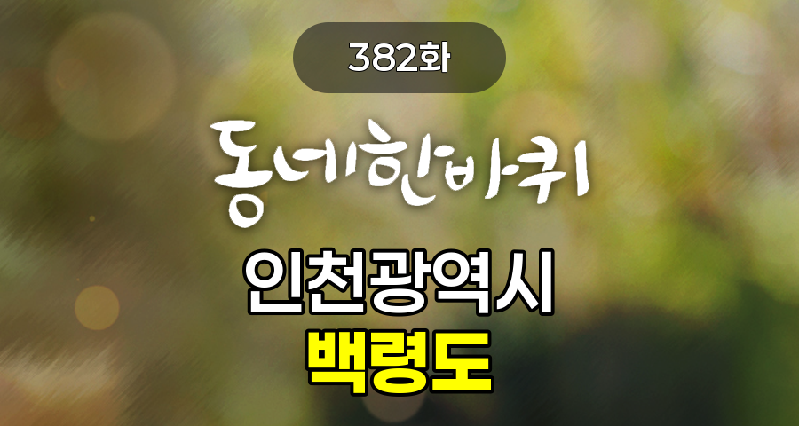KBS 동네한바퀴 인천광역시 백령도 382화 2026년 8월 15일 맛집 식당 업체 촬영장소 촬영지 정보, 용기포항, 끝섬전망대, 까나리 치킨, 짠지떡, 사곶해수욕장, 냉면, 두무진, 해녀와 사위, 아일랜드 캐슬, 장기렌트카 백령도 옹진지점, 백령여행사 인천연안지점