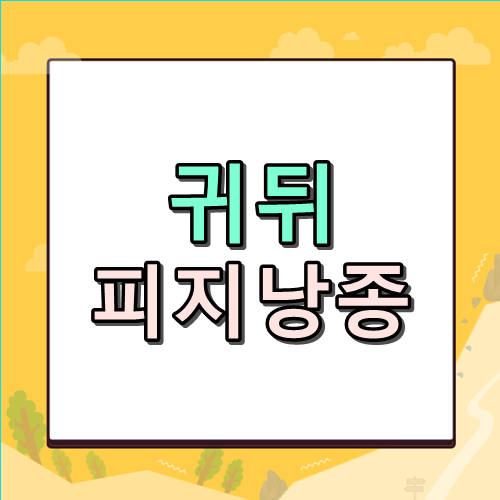 귀뒤 피지낭종