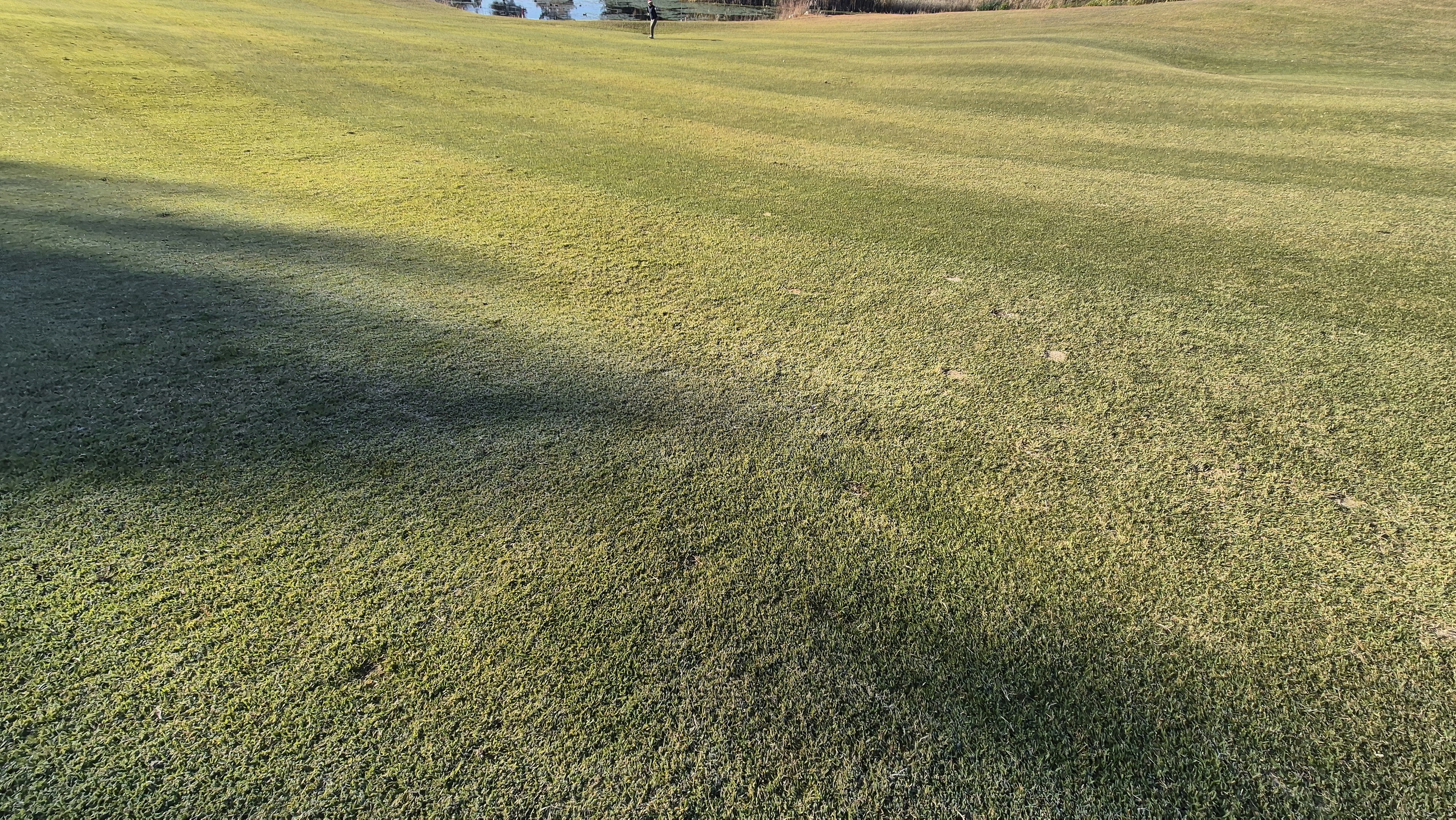 동촌gc 코스 관리 상태