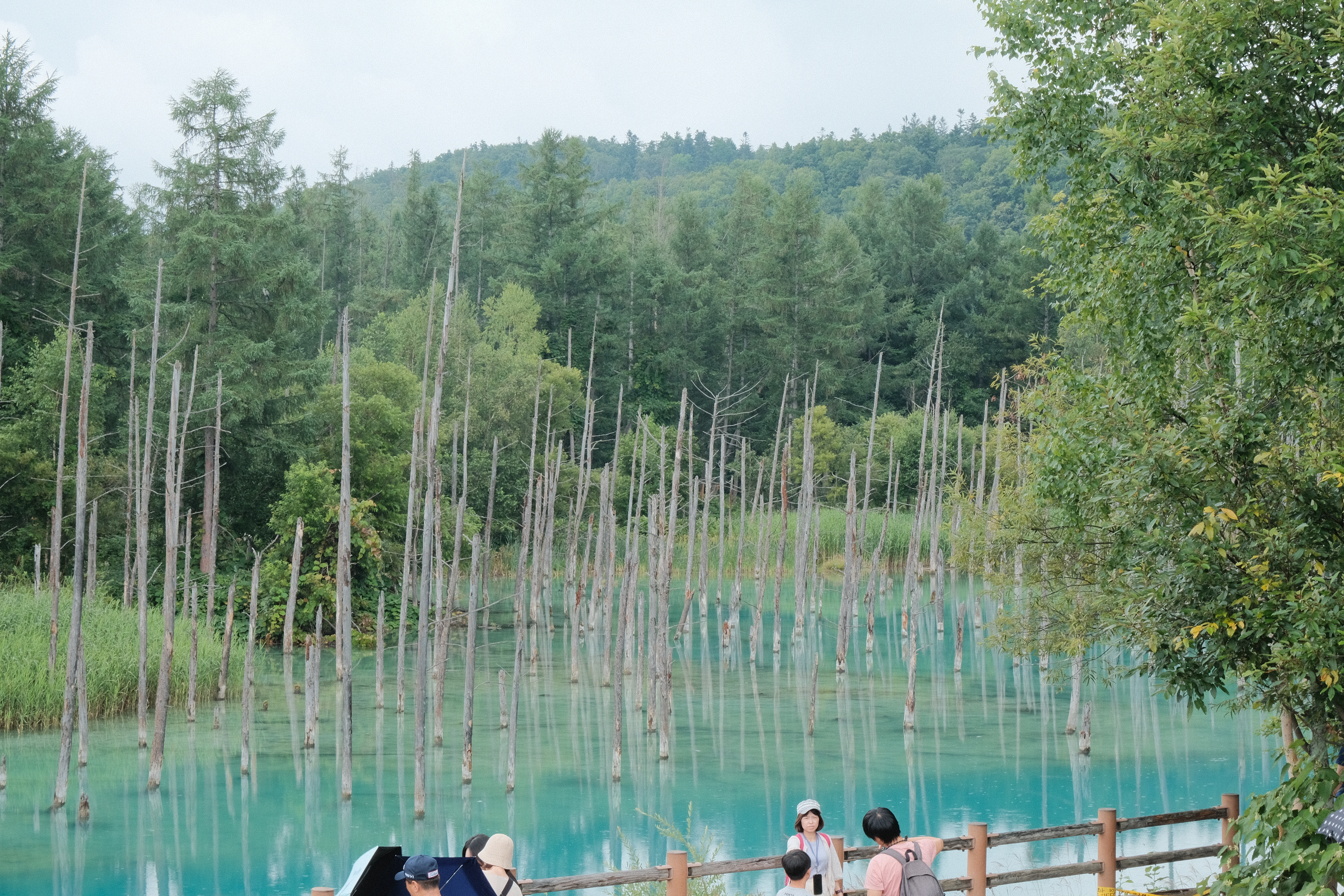 bluelake3