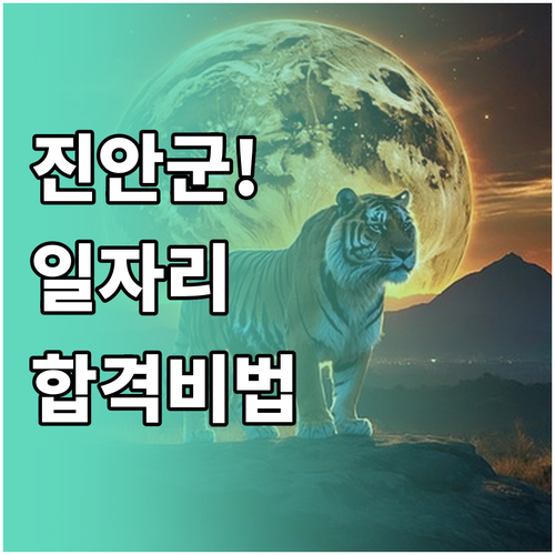 진안군 노인일자리 정기 모집 시기와 ..