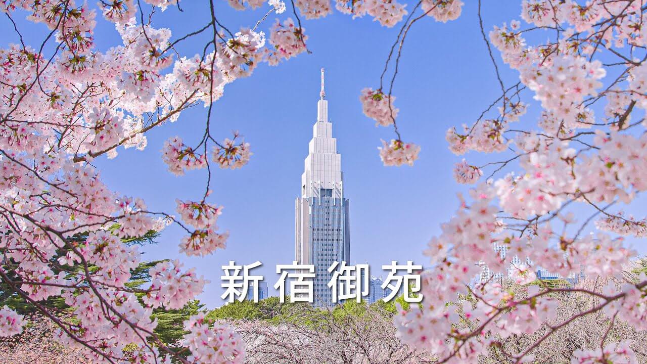 신주쿠교엔