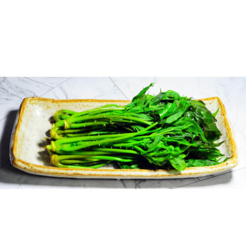 엄나무순장아찌 데치기 먹는법 효능과 보관법 관련사진