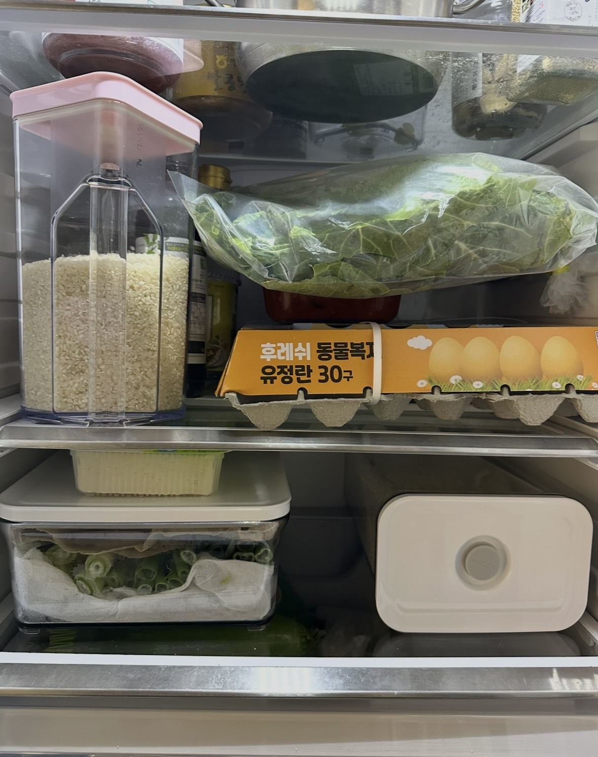 채소위주로 진열된 냉장고 중간 칸