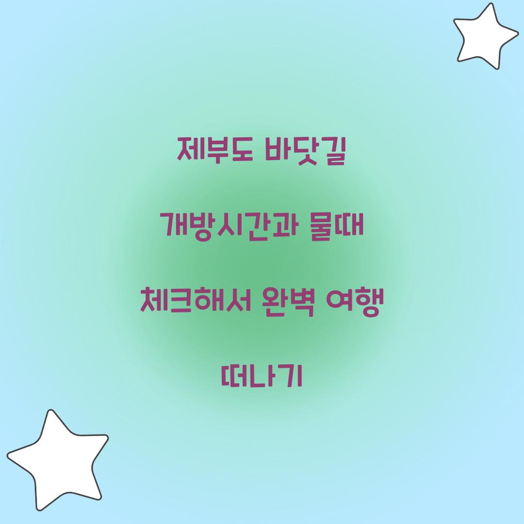 제부도 바닷길 개방시간