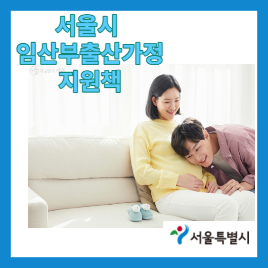 임산부출산지원책
