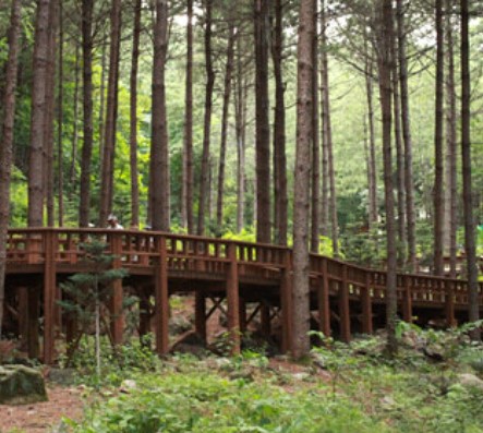 숲나들e 국립 산음 자연휴양림 국내 여행지 추천 관련사진