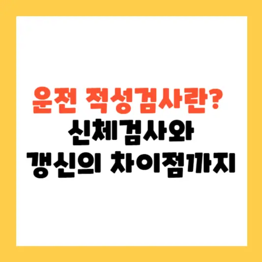 운전 적성검사란? 신체검사와 갱신의 차이점까지 알아보기