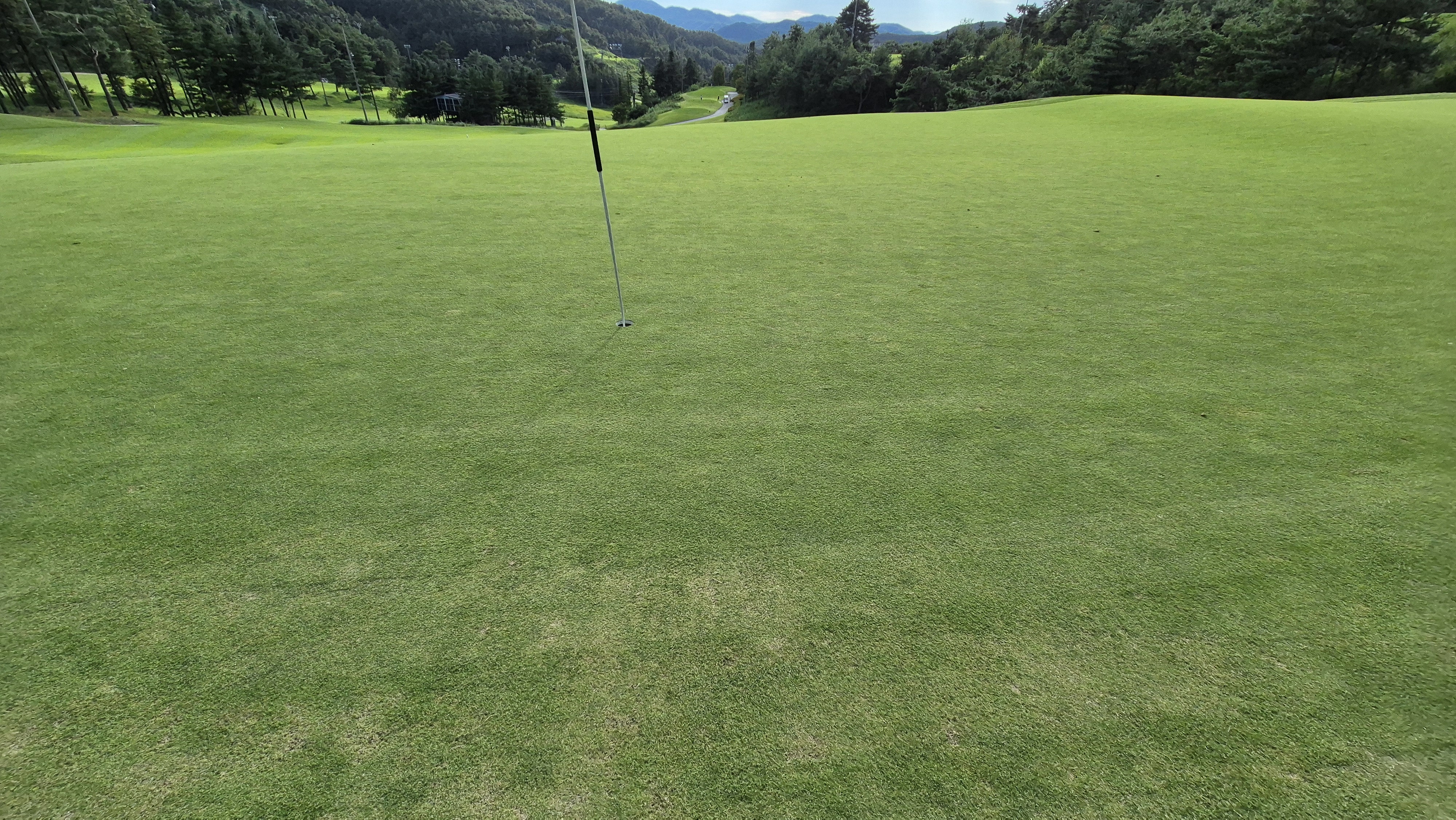 오크힐스cc 그린 관리 상태