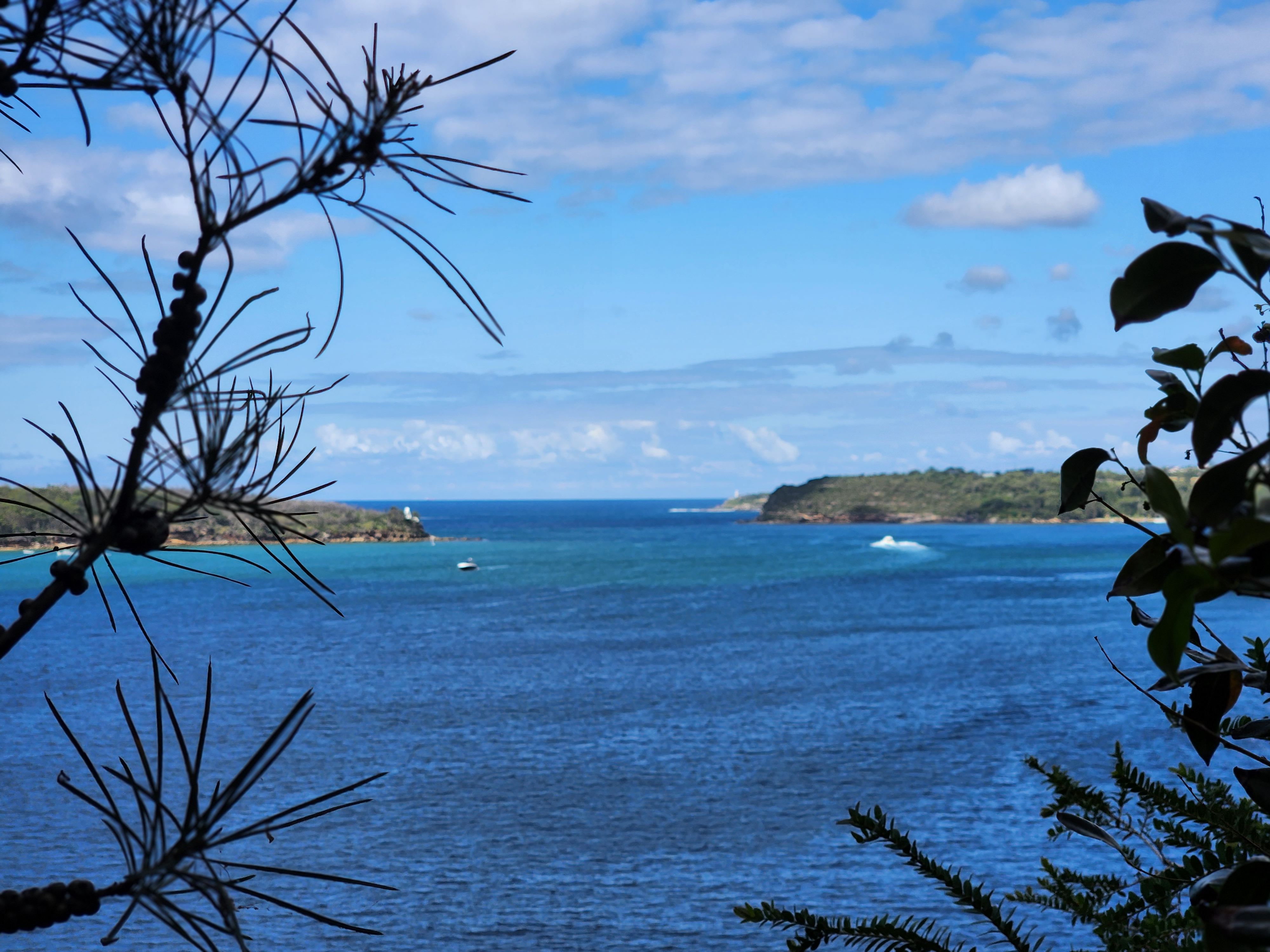 Bondi to Manly walk