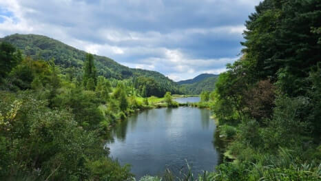 골프장 경험담 홍천 세이지우드cc 사람이 가장 쾌적함을 느끼는 해발 765m에서 경험하는 자연, 골프, 쉼