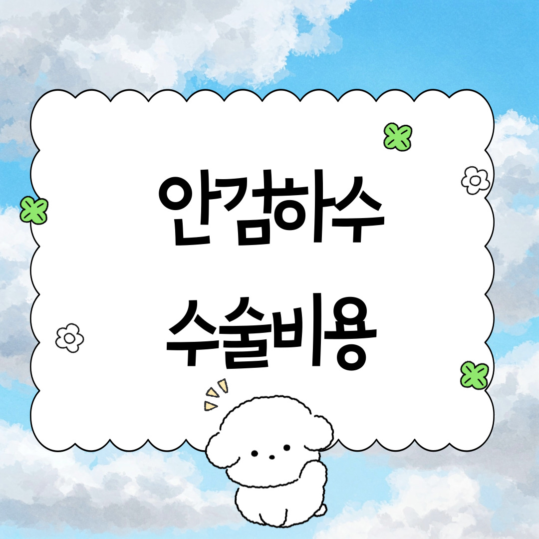 안검하수 수술비용 및 보험 적용