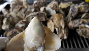 6시내고향 사천 굴구이 순애민박 위치 예약 꿀팁 대공개